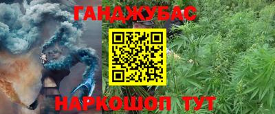 spice Моздок