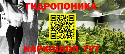 мдма Можга
