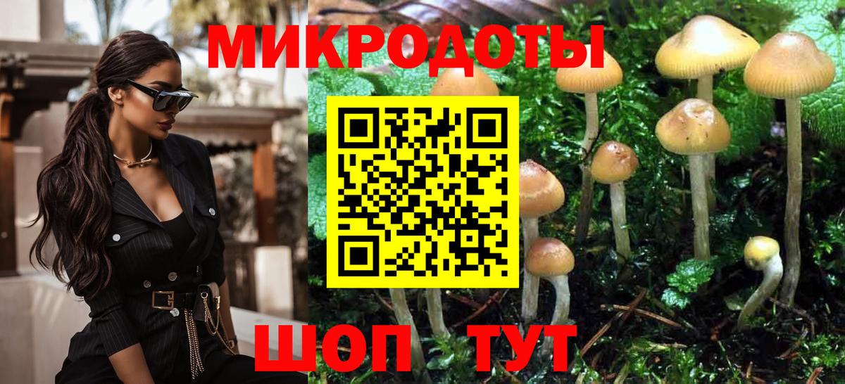 Псилоцибиновые грибы Cubensis Уссурийск